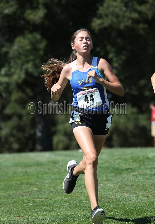 2015SIxcHSSeeded-277.JPG - 2015 Stanford Cross Country Invitational, September 26, Stanford Golf Course, Stanford, California.